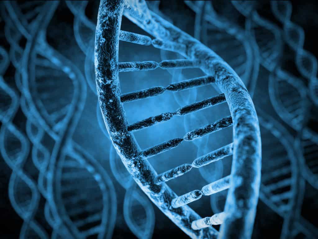 genes L'arthrose lombaire a également des origines génétiques