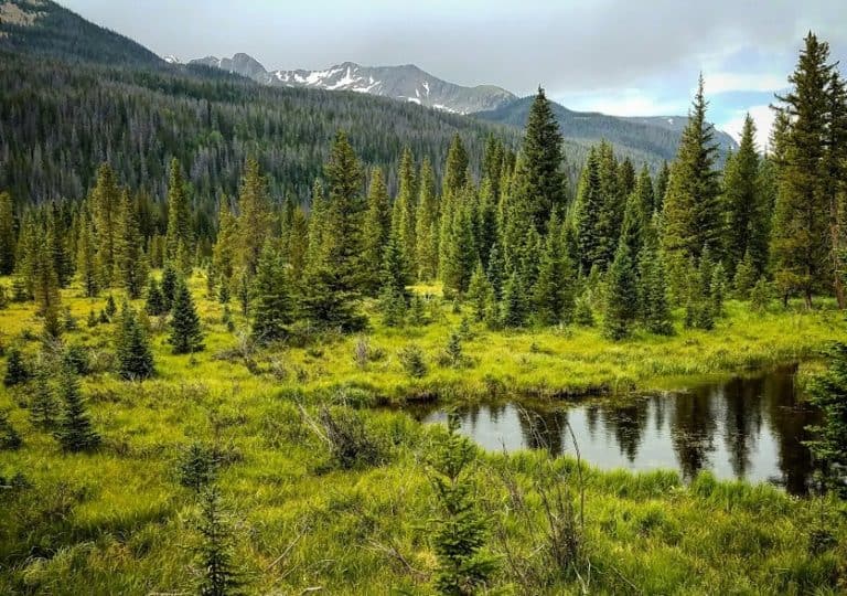 Rocky-Mountain-NP-Reflection-768x540
